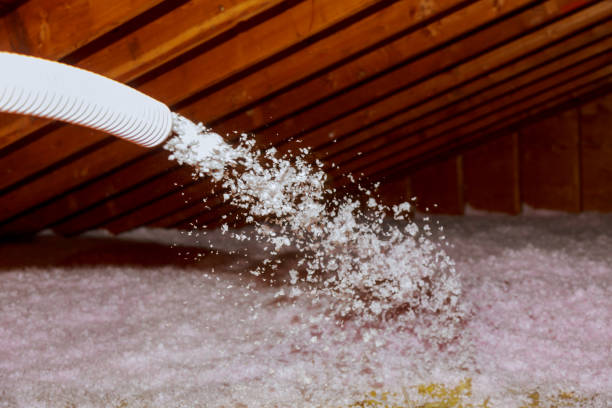 Best Insulation Replacement Services  in Rtez, CO