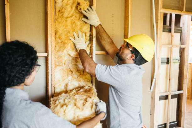 Best Residential Insulation Services  in Rtez, CO